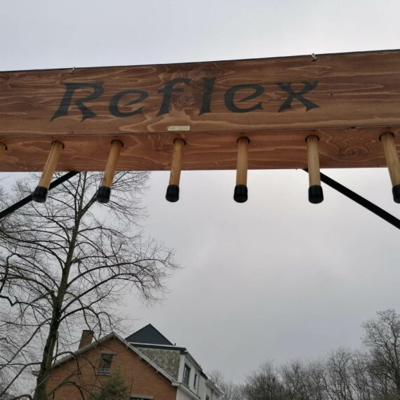 Reflex test